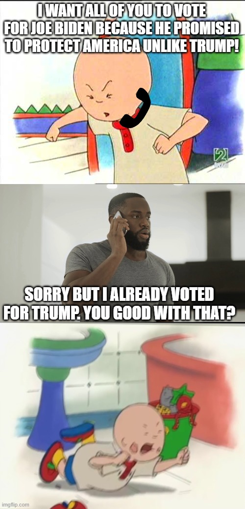 Liberals be like when you support Trump. | I WANT ALL OF YOU TO VOTE FOR JOE BIDEN BECAUSE HE PROMISED TO PROTECT AMERICA UNLIKE TRUMP! SORRY BUT I ALREADY VOTED FOR TRUMP. YOU GOOD WITH THAT? | image tagged in politics,political meme | made w/ Imgflip meme maker