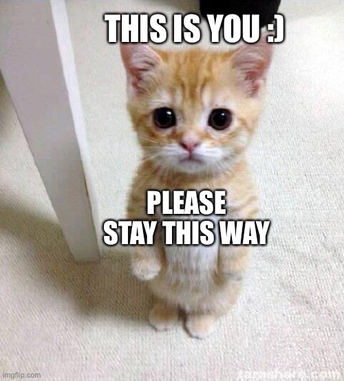 Cute Cat Meme | THIS IS YOU :) PLEASE STAY THIS WAY | image tagged in memes,cute cat | made w/ Imgflip meme maker