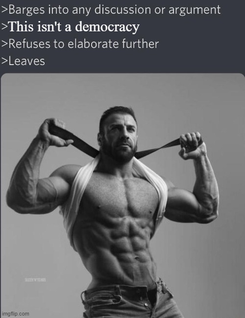 Chad Barges into discussion | This isn't a democracy | image tagged in chad barges into discussion | made w/ Imgflip meme maker