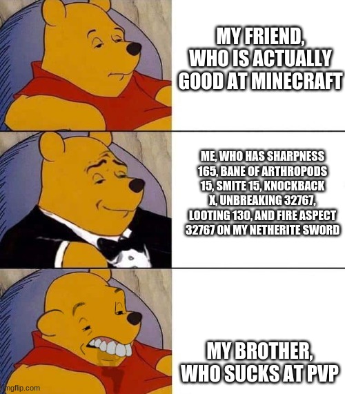 This is very true for me in minecraft | MY FRIEND, WHO IS ACTUALLY GOOD AT MINECRAFT; ME, WHO HAS SHARPNESS 165, BANE OF ARTHROPODS 15, SMITE 15, KNOCKBACK X, UNBREAKING 32767, LOOTING 130, AND FIRE ASPECT 32767 ON MY NETHERITE SWORD; MY BROTHER, WHO SUCKS AT PVP | image tagged in tuxedo winnie the pooh derpy | made w/ Imgflip meme maker