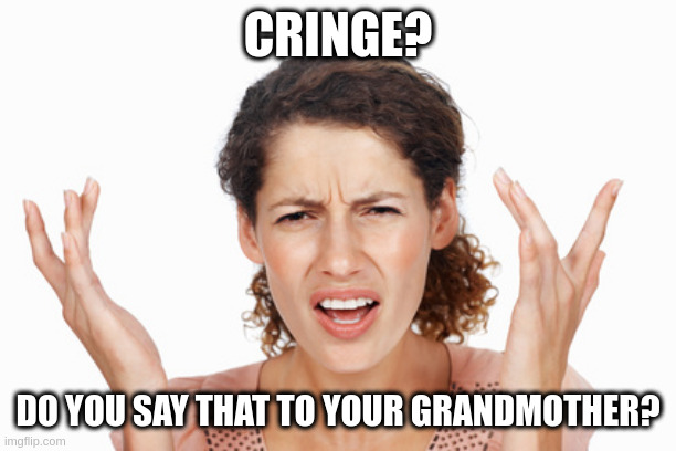 Indignant | CRINGE? DO YOU SAY THAT TO YOUR GRANDMOTHER? | image tagged in indignant | made w/ Imgflip meme maker