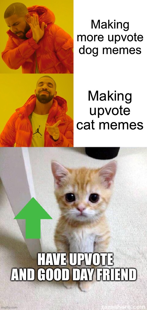 A new generation has begun | Making more upvote dog memes; Making upvote cat memes; HAVE UPVOTE AND GOOD DAY FRIEND | image tagged in memes,drake hotline bling,cute cat | made w/ Imgflip meme maker