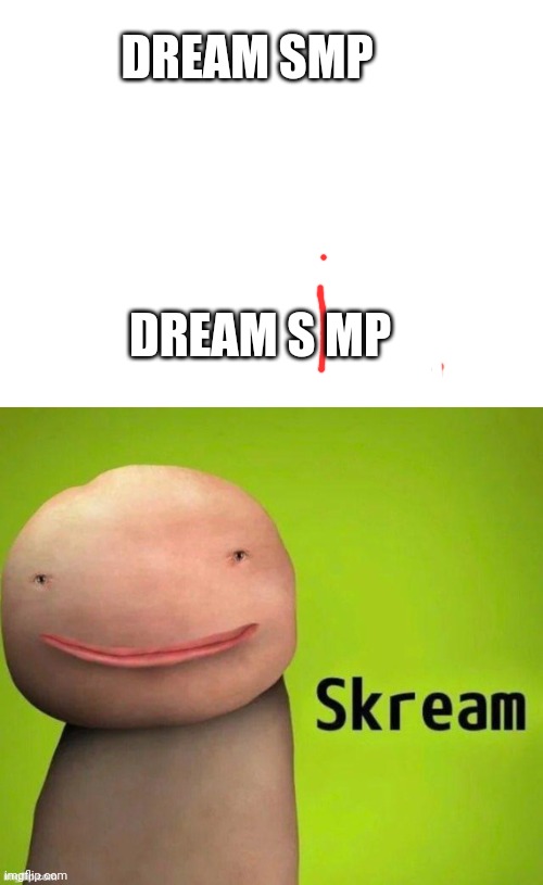 Wat | DREAM SMP; DREAM S MP | image tagged in blank white template,skream | made w/ Imgflip meme maker