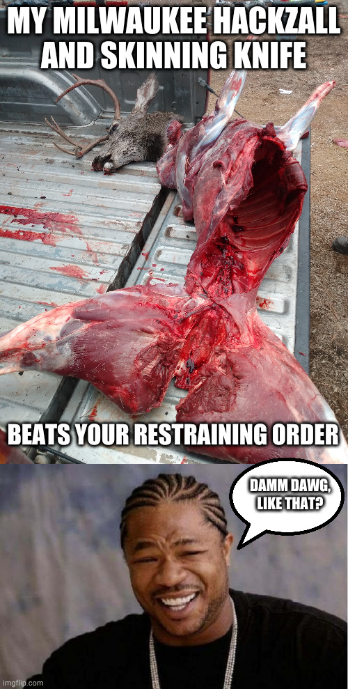 MY MILWAUKEE HACKZALL AND SKINNING KNIFE; BEATS YOUR RESTRAINING ORDER; DAMM DAWG, LIKE THAT? | image tagged in memes,yo dawg heard you | made w/ Imgflip meme maker