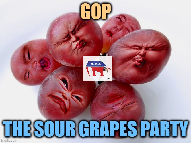 Trump lost. | GOP; THE SOUR GRAPES PARTY | image tagged in gop,republican party,sour,grapes,whiners,losers | made w/ Imgflip meme maker