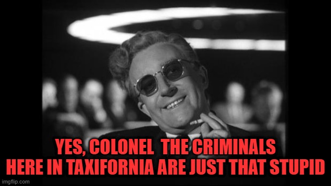 dr strangelove | YES, COLONEL  THE CRIMINALS HERE IN TAXIFORNIA ARE JUST THAT STUPID | image tagged in dr strangelove | made w/ Imgflip meme maker