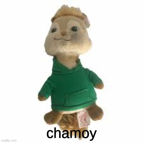 chamoy | made w/ Imgflip meme maker