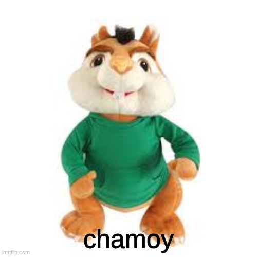 chamoy | made w/ Imgflip meme maker
