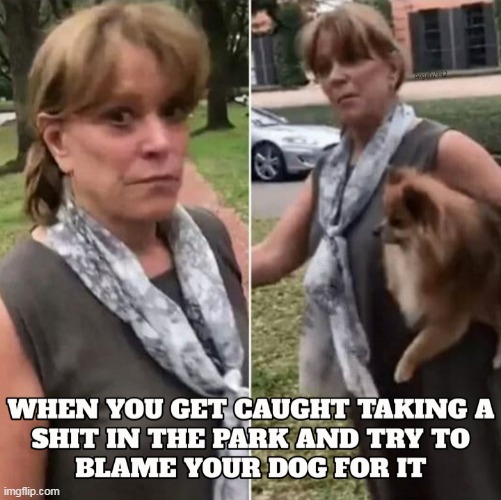 image tagged in pets,dogs,park,shit,blame,caught in the act | made w/ Imgflip meme maker