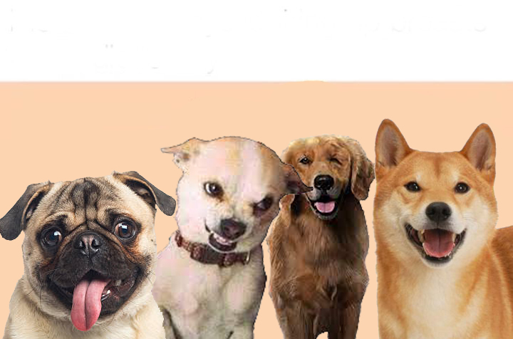 Me and the goodboys Blank Meme Template