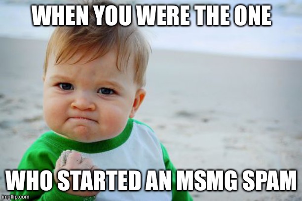 LOL | WHEN YOU WERE THE ONE; WHO STARTED AN MSMG SPAM | image tagged in memes,success kid original | made w/ Imgflip meme maker