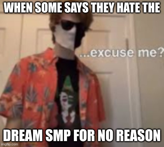 My brother hates the dream smp for no reason | WHEN SOME SAYS THEY HATE THE; DREAM SMP FOR NO REASON | made w/ Imgflip meme maker