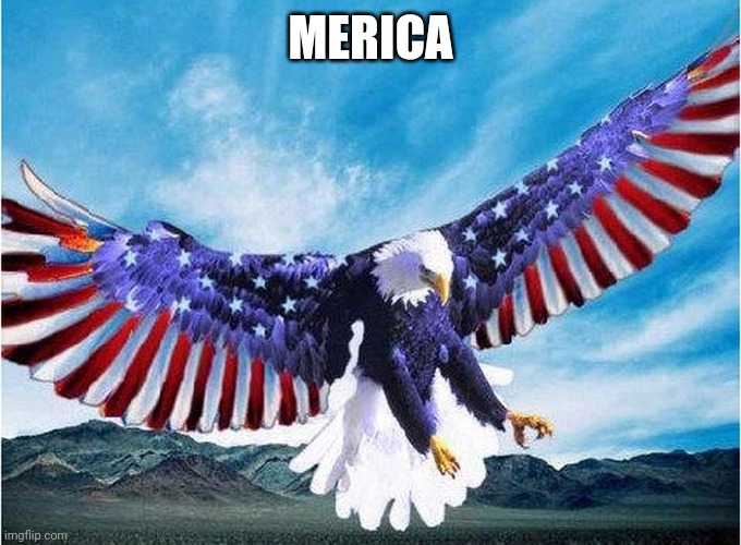 merica eagle | MERICA | image tagged in merica eagle | made w/ Imgflip meme maker
