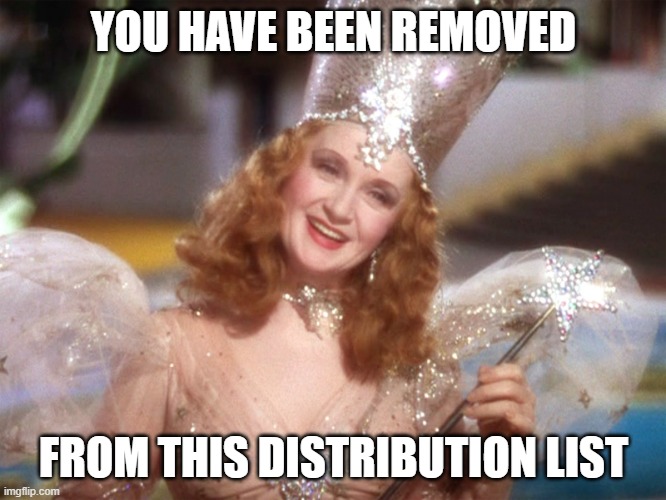 For the REPLY-ALL dumbasses who REPLY-ALL asking to be removed | YOU HAVE BEEN REMOVED; FROM THIS DISTRIBUTION LIST | image tagged in glinda the good witch | made w/ Imgflip meme maker