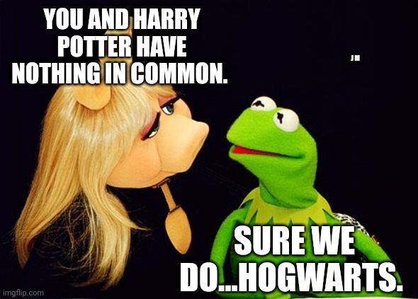 Ms Piggy and Kermit | YOU AND HARRY POTTER HAVE NOTHING IN COMMON. J M; SURE WE DO...HOGWARTS. | image tagged in ms piggy and kermit | made w/ Imgflip meme maker