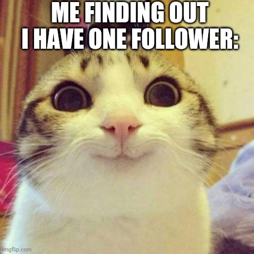 An accomplishment for once | ME FINDING OUT I HAVE ONE FOLLOWER: | image tagged in memes,smiling cat,one,follower,yay,finally | made w/ Imgflip meme maker