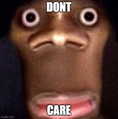 Bruh | DONT CARE | image tagged in bruh | made w/ Imgflip meme maker