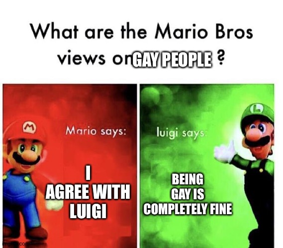 Theres nothing wrong! | GAY PEOPLE; I AGREE WITH LUIGI; BEING GAY IS COMPLETELY FINE | image tagged in mario bros views | made w/ Imgflip meme maker