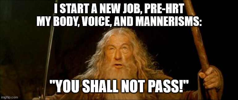 True story, guys | I START A NEW JOB, PRE-HRT
MY BODY, VOICE, AND MANNERISMS:; "YOU SHALL NOT PASS!" | image tagged in gandalf you shall not pass,transgender,lgbtq | made w/ Imgflip meme maker