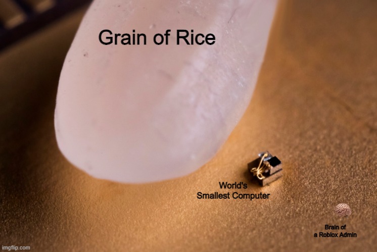 Grain Of Rice | Grain of Rice; World's Smallest Computer; Brain of a Roblox Admin | image tagged in grain of rice,roblox,memes,roblox meme | made w/ Imgflip meme maker