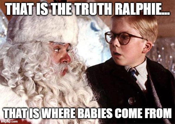 Ralphie Christmas Story 1 | THAT IS THE TRUTH RALPHIE... THAT IS WHERE BABIES COME FROM | image tagged in ralphie christmas story 1 | made w/ Imgflip meme maker