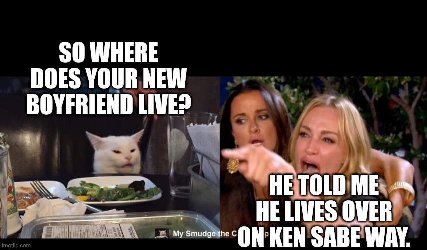 SO WHERE DOES YOUR NEW BOYFRIEND LIVE? HE TOLD ME HE LIVES OVER ON KEN SABE WAY. | image tagged in smudge the cat | made w/ Imgflip meme maker