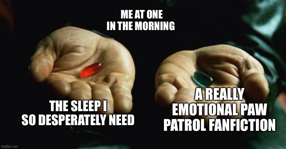 I’m in trouble lol | ME AT ONE IN THE MORNING; A REALLY EMOTIONAL PAW PATROL FANFICTION; THE SLEEP I SO DESPERATELY NEED | image tagged in red pill blue pill,fun,memes | made w/ Imgflip meme maker