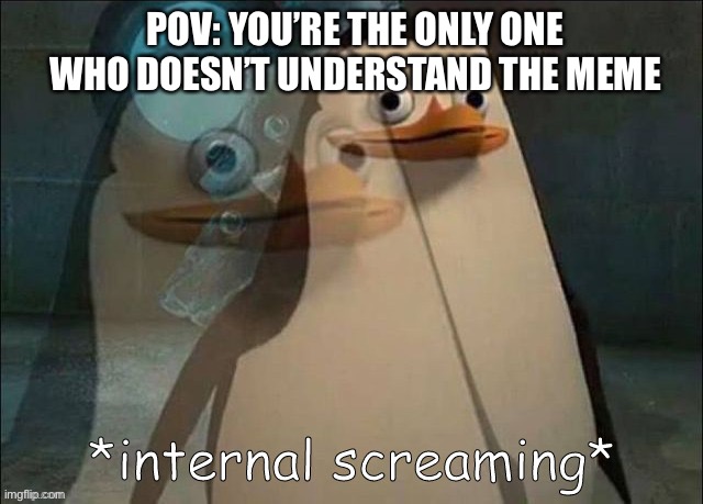 Clever title | POV: YOU’RE THE ONLY ONE WHO DOESN’T UNDERSTAND THE MEME | image tagged in private internal screaming | made w/ Imgflip meme maker