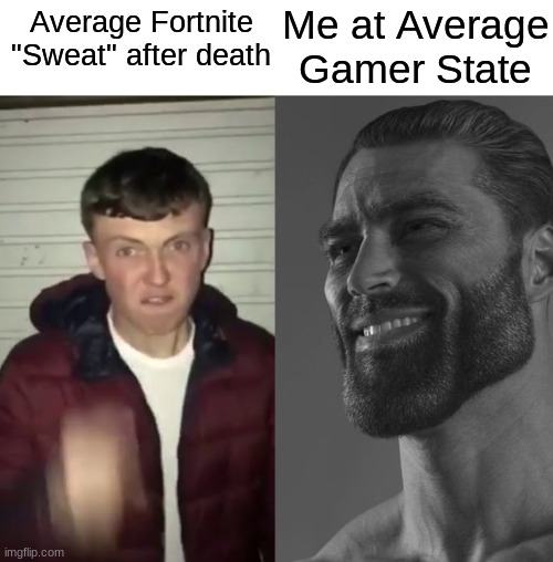 No Idea why I made this. | Me at Average Gamer State; Average Fortnite "Sweat" after death | image tagged in average fan vs average enjoyer | made w/ Imgflip meme maker
