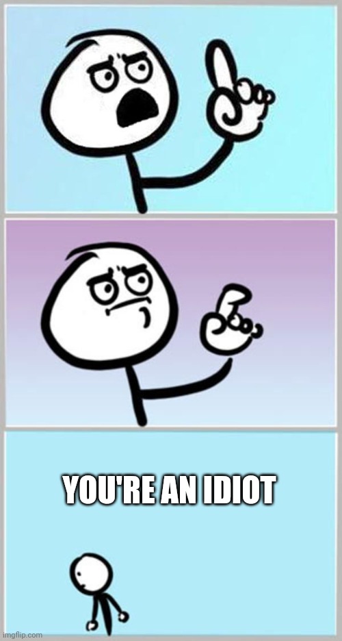 wait what extended | YOU'RE AN IDIOT | image tagged in wait what extended | made w/ Imgflip meme maker