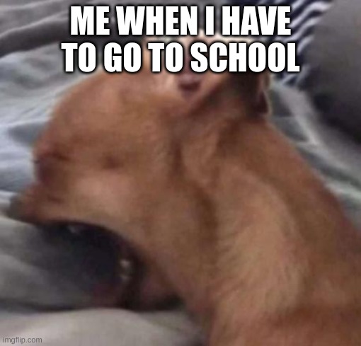 me when i have to go to school | ME WHEN I HAVE TO GO TO SCHOOL | image tagged in me when i have to go to school | made w/ Imgflip meme maker