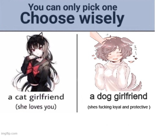 should this be in anime stream? | a dog girlfriend; (shes fucking loyal and protective ) | image tagged in choose wisely | made w/ Imgflip meme maker