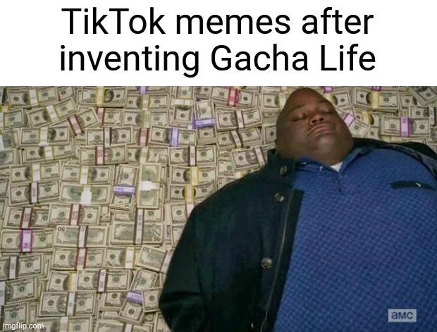 Money realizing that memes from TikTok | TikTok memes after inventing Gacha Life | image tagged in huell money,memes,funny memes,gacha life | made w/ Imgflip meme maker