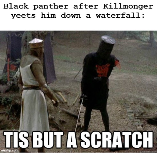 lol so true | Black panther after Killmonger yeets him down a waterfall: | image tagged in tis but a scratch | made w/ Imgflip meme maker