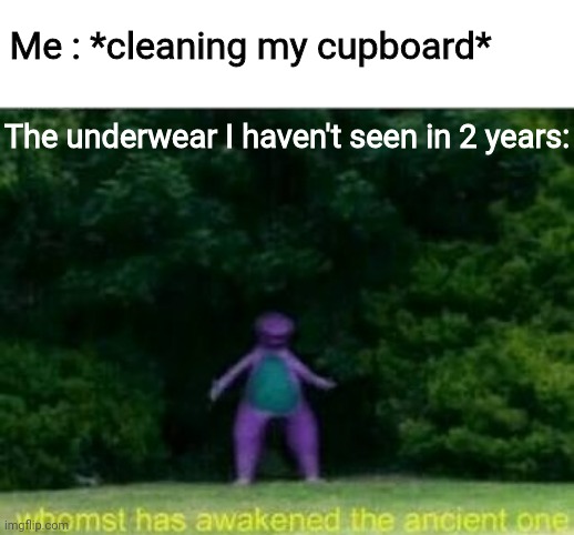 Cheez | Me : *cleaning my cupboard*; The underwear I haven't seen in 2 years: | image tagged in whomst has awakened the ancient one | made w/ Imgflip meme maker