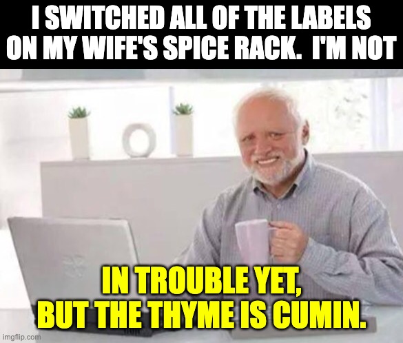 Spice | I SWITCHED ALL OF THE LABELS ON MY WIFE'S SPICE RACK.  I'M NOT; IN TROUBLE YET, BUT THE THYME IS CUMIN. | image tagged in harold | made w/ Imgflip meme maker