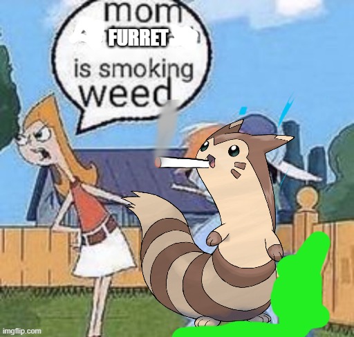mom furret is smoking weed | FURRET | image tagged in furret,mom furret is smoking weed,amogus | made w/ Imgflip meme maker
