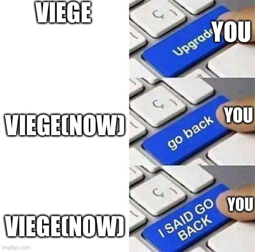 I SAID GO BACK | VIEGE VIEGE(NOW) VIEGE(NOW) YOU YOU YOU | image tagged in i said go back | made w/ Imgflip meme maker