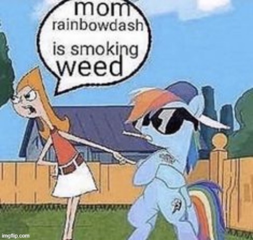 mom rainbowdash is smoking weed (WHY NO AMOGUS??) | image tagged in rainbowdash is smoking weed | made w/ Imgflip meme maker