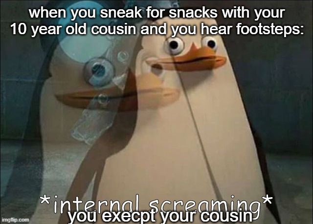 yes | when you sneak for snacks with your 10 year old cousin and you hear footsteps:; you execpt your cousin | image tagged in private internal screaming,snacks,cousin,sneaking | made w/ Imgflip meme maker