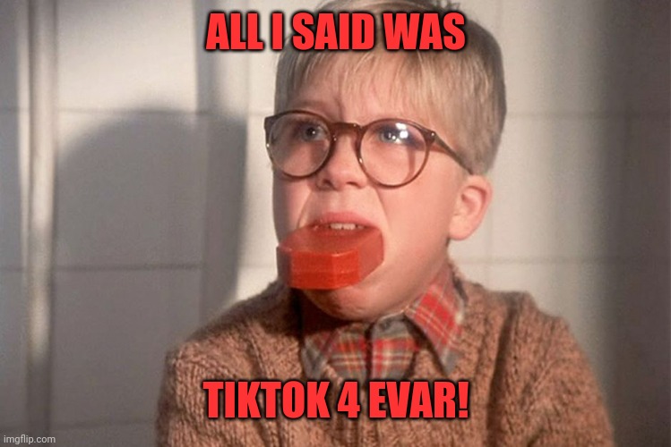 Tiktok 4 evar | ALL I SAID WAS; TIKTOK 4 EVAR! | image tagged in christmas story ralphie bar soap in mouth,bad words,nope nope nope,not that | made w/ Imgflip meme maker