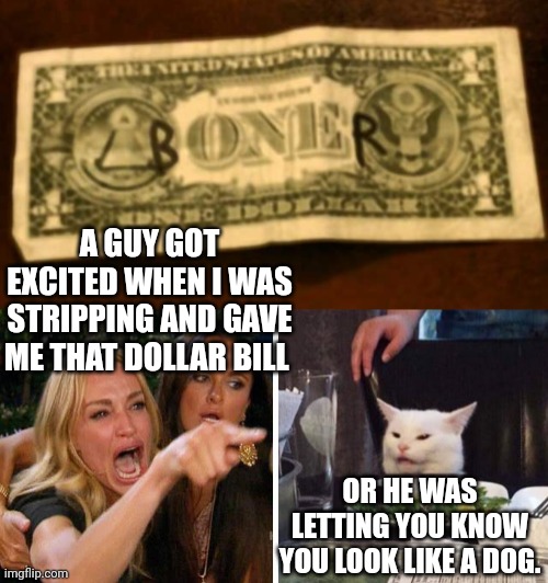 A GUY GOT EXCITED WHEN I WAS STRIPPING AND GAVE ME THAT DOLLAR BILL; OR HE WAS LETTING YOU KNOW YOU LOOK LIKE A DOG. | image tagged in smudge the cat | made w/ Imgflip meme maker