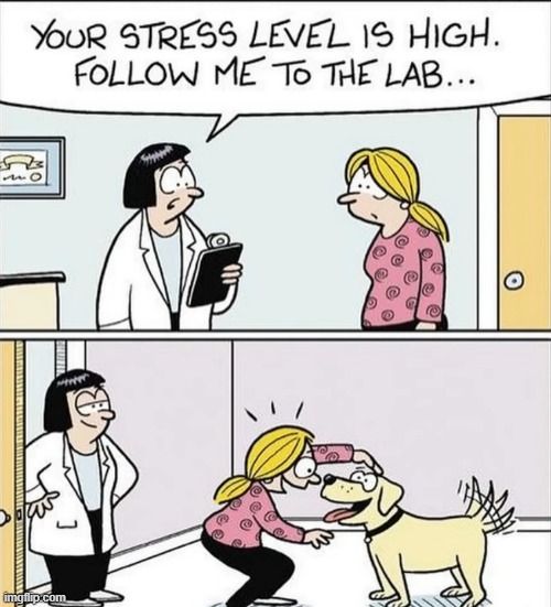 image tagged in comics | made w/ Imgflip meme maker
