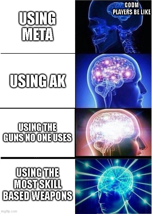 Codm players go brrrr | CODM PLAYERS BE LIKE; USING META; USING AK; USING THE GUNS NO ONE USES; USING THE MOST SKILL BASED WEAPONS | image tagged in memes,expanding brain | made w/ Imgflip meme maker