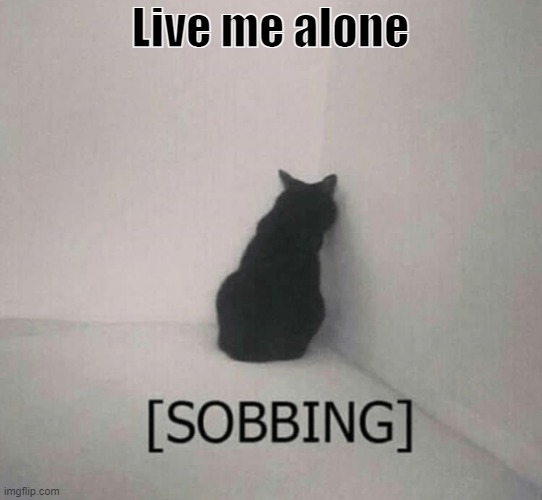 Sobbing cat | Live me alone | image tagged in sobbing cat,cats,cat | made w/ Imgflip meme maker