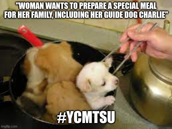 REAL HEADLINES | "WOMAN WANTS TO PREPARE A SPECIAL MEAL FOR HER FAMILY, INCLUDING HER GUIDE DOG CHARLIE"; #YCMTSU | image tagged in reid moore,funny,news,real headlines,true story | made w/ Imgflip meme maker
