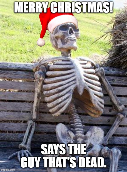 MeRrY ChRiStMaS!!!!!!!!!!!! | MERRY CHRISTMAS! SAYS THE GUY THAT'S DEAD. | image tagged in memes,waiting skeleton | made w/ Imgflip meme maker