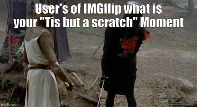 What is our "Tis but a scratch" Moment? | User's of IMGflip what is your "Tis but a scratch" Moment | image tagged in tis but a scratch | made w/ Imgflip meme maker