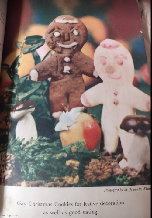 Gay Christmas circa 1949 cookbook. | image tagged in christmas | made w/ Imgflip meme maker