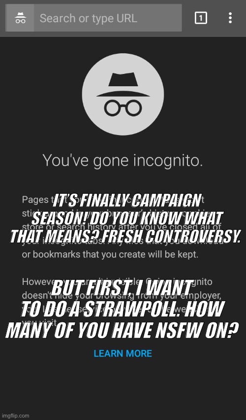 Do you? Strawpoll in the comments | IT’S FINALLY CAMPAIGN SEASON! DO YOU KNOW WHAT THAT MEANS? FRESH CONTROVERSY. BUT FIRST, I WANT TO DO A STRAWPOLL. HOW MANY OF YOU HAVE NSFW ON? | image tagged in incognito | made w/ Imgflip meme maker